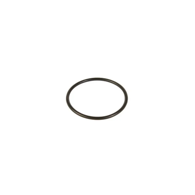 Прокладка O-Ring FI для миючого пилососа Zelmer \ Bosch 919.0098 757495