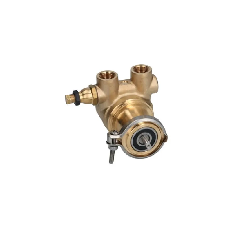Помпа ротаційна для кавоварки Philips Saeco 8 BAR 100L DM0217/002/PG