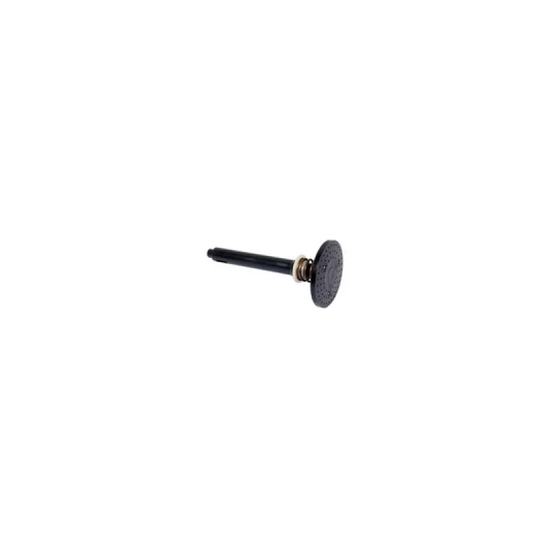 Поршень заварювального блока кавомашини Philips Saeco 0301.R16.050
