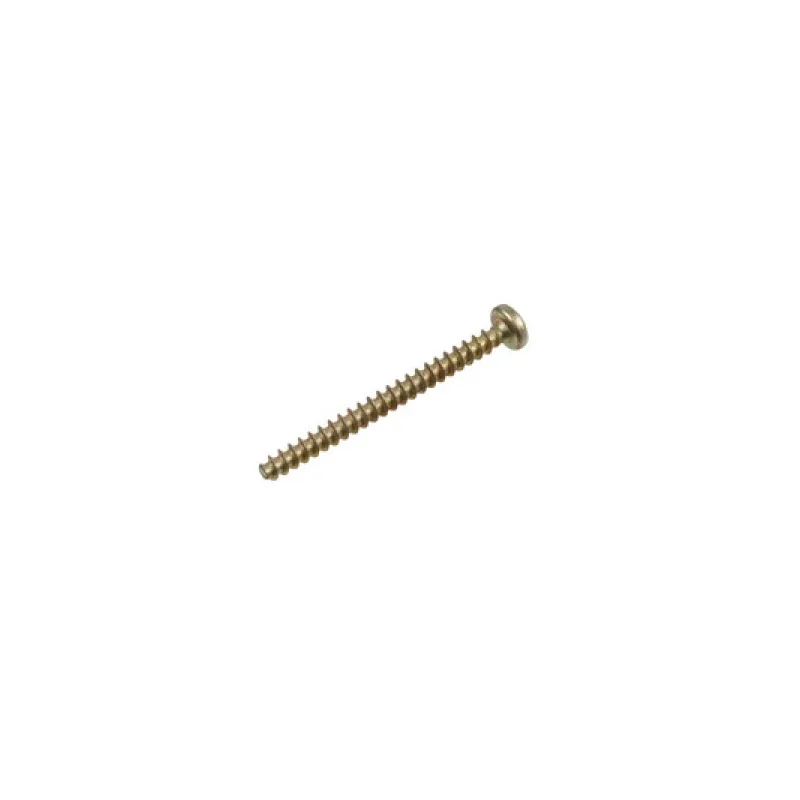 Гвинт кріплення нижнього жорна кавомолки Philips Saeco T10 TCB 129931002