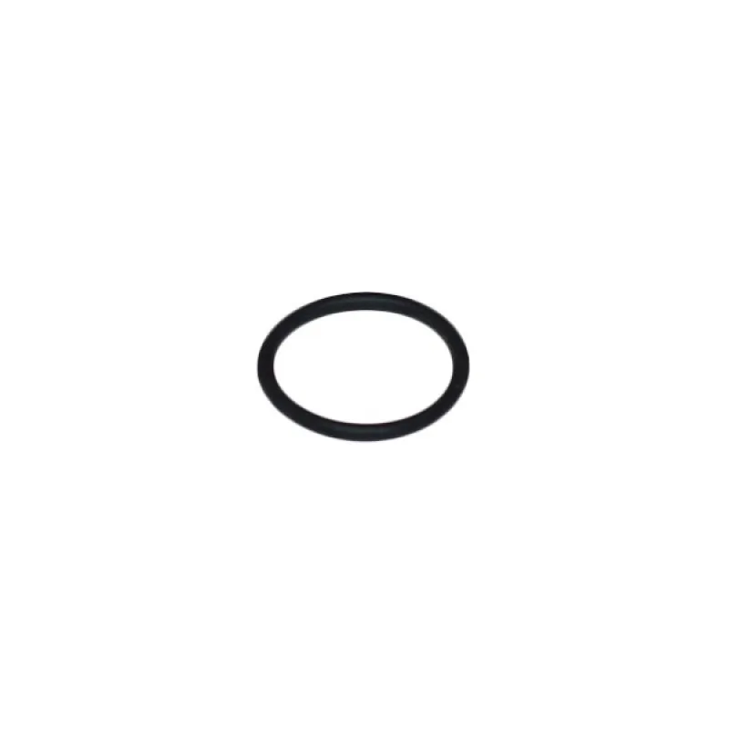 Прокладка O-Ring 17.16x1.78 мм для кавомашини Spinel SR.000.060.048