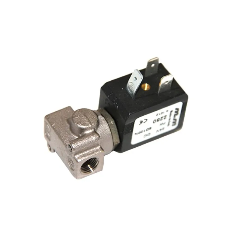 Клапан електромагнітний для кавоварки Philips Saeco SG650 24 В DC 12001230