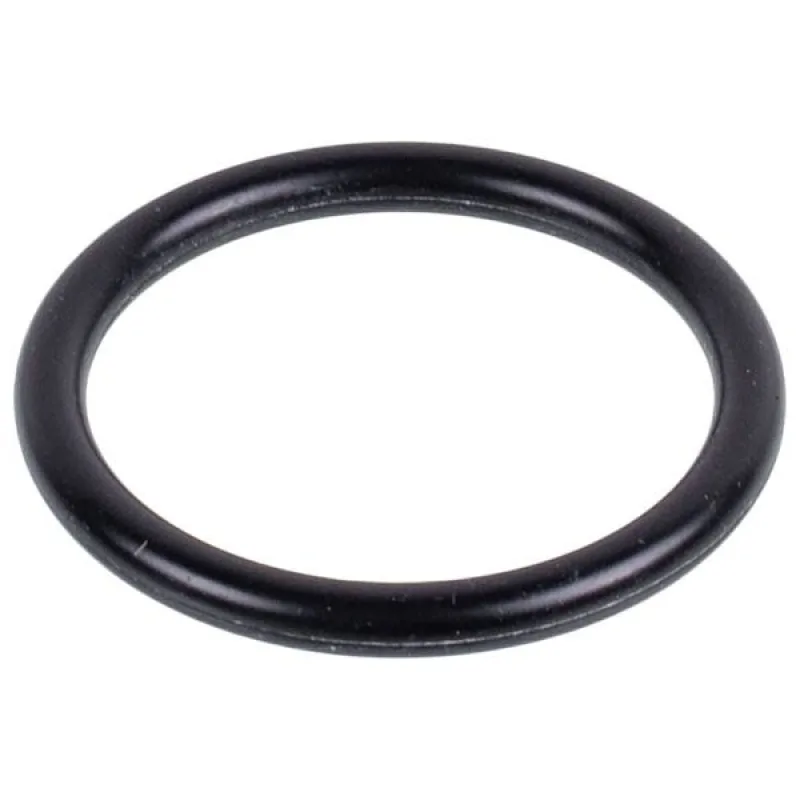 Brewing unit piston seal ring for Delonghi 5313238581