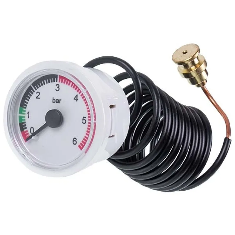 Манометр 0-6 бар D=42/36 мм для газового котла Immergas 1.028880
