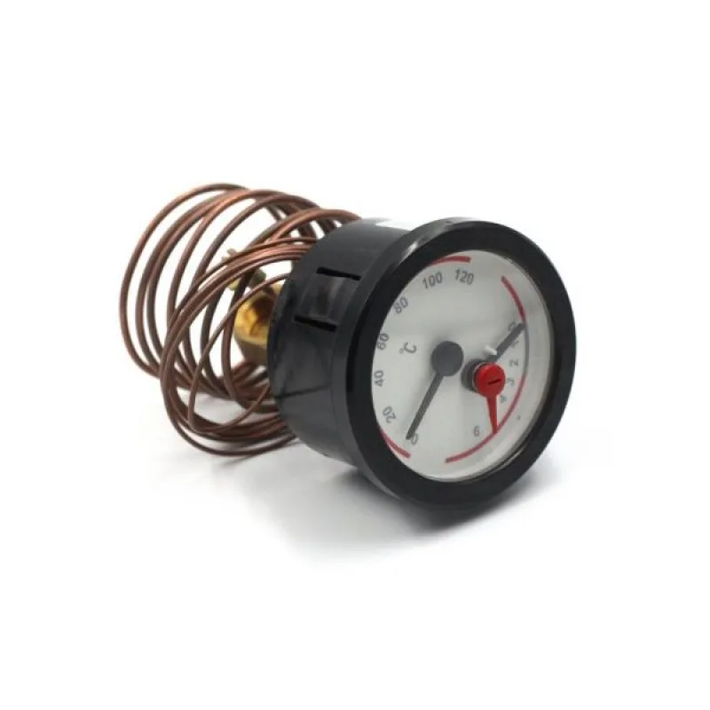 Термоманометр 0-6 бар 0-120 °C для газового котла Baxi/Westen 9950480