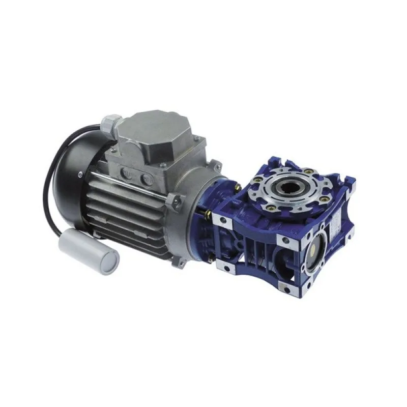 Двигун з редуктором ELMOR для льдогенератора ITV 499180 180W 220V MM063-84