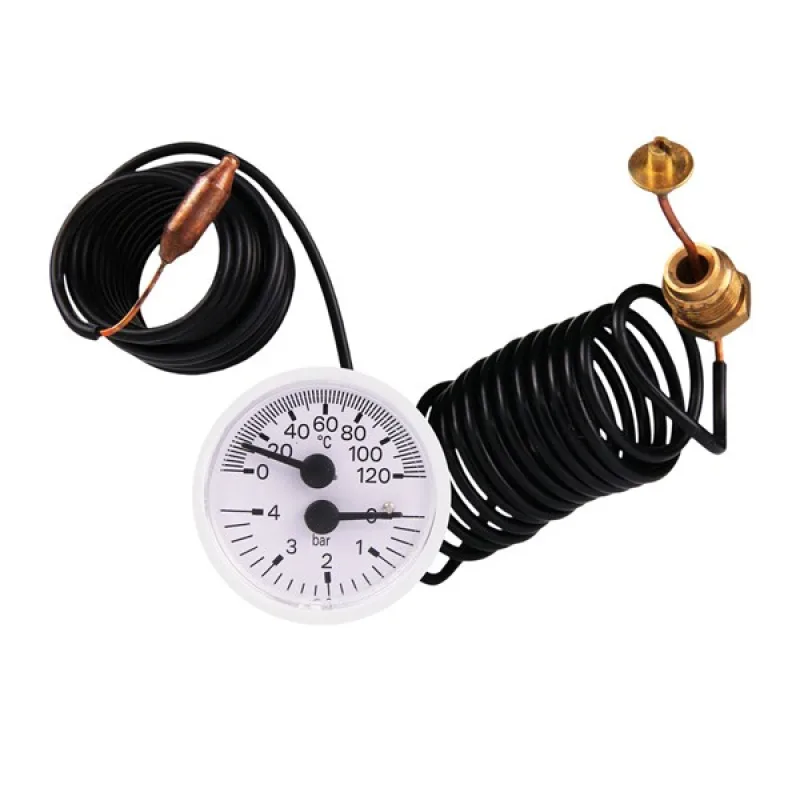 Термоманометр 0-4 бар 0-120 °C для газового котла Ferroli Pegasus, Rendimax, Tantaqua N EL, GN 1 39814770